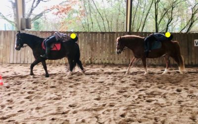 17 élèves en stage d’équitation