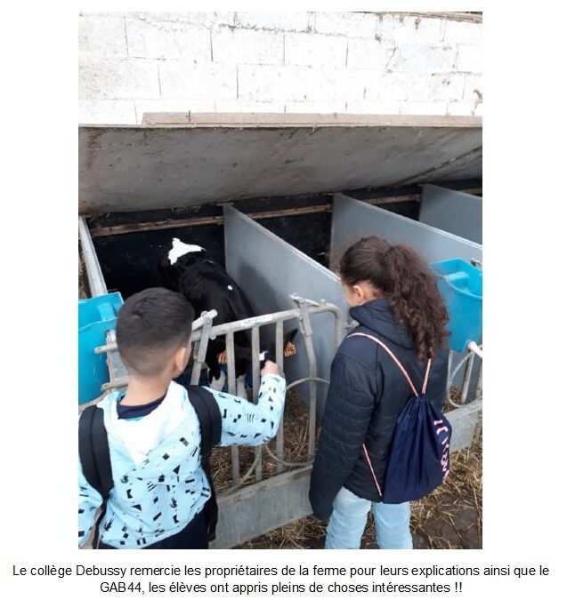 Visite d’une ferme pédagogique par les 6A et 6C