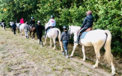 Soirée Portes ouvertes au poney club