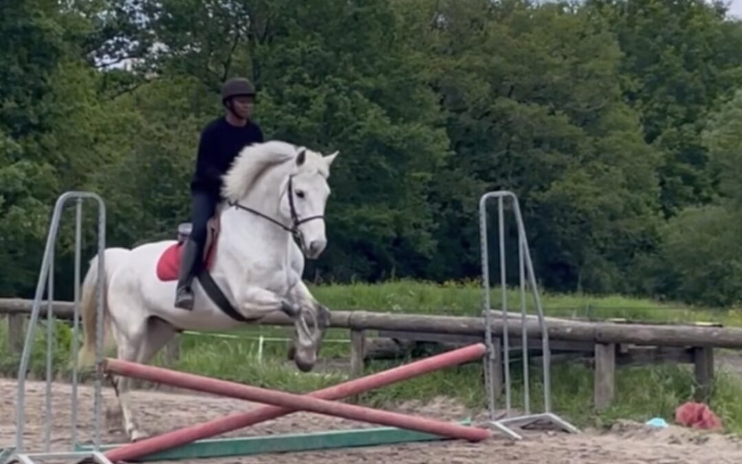 Critérium district UNSS Equitation : dernière compétition de l’année pour les élèves